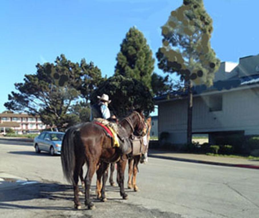Bayfront Inn Morro Bay Esterno foto